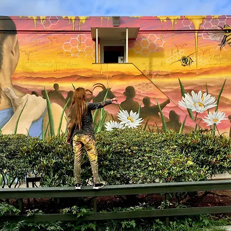 شباب بيرغن مونتانا *