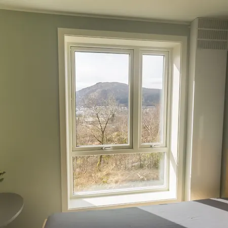 شباب بيرغن مونتانا