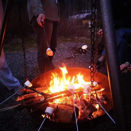 Montana Vandrarhem Bergen