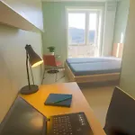 Montana Hostel Bergen