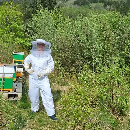 卑尔根蒙大拿旅馆 卑爾根